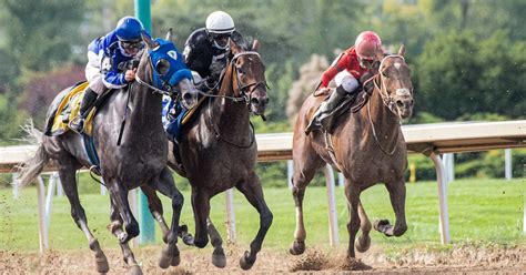 Horse Racing and Greyhounds Winnings Boost .
